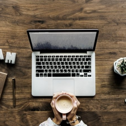 Social Media Organic  + Paid