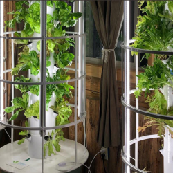 Tower Gardens