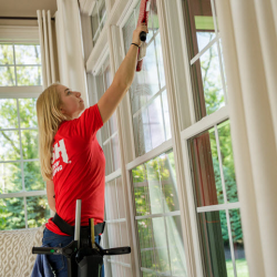 Residential Window