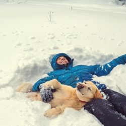Pet-Friendly Hotels