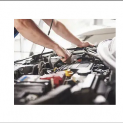 Search Businesses and Charities