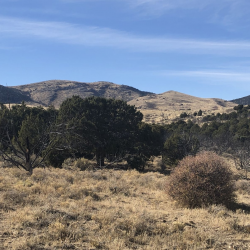 Land Listings
