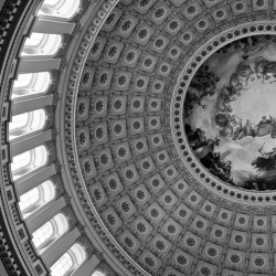 Government Relations