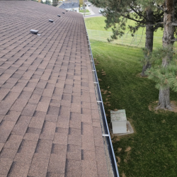 Gutter Cleaning