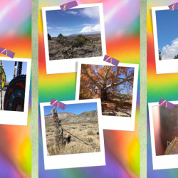 Easy Access to Outdoor Recreation