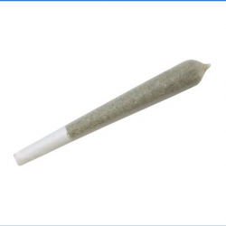 Pre Roll