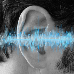 Tinnitus Retraining Therapy