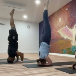 Vinyasa Yoga