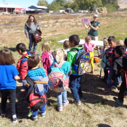 AmeriCorps State Program