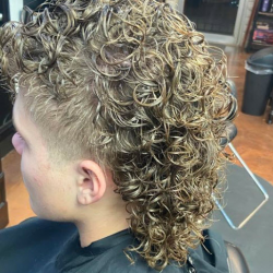 Perm/Mullet