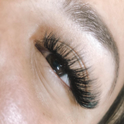 Volume Lashes