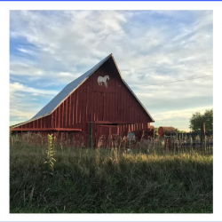 Farm and Ranch Insurance