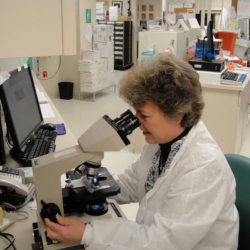 Laboratory Services