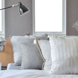 Luxurious Apartment Amenities