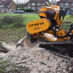 Stump Grinding London