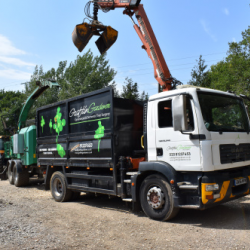 Commercial Tree Services