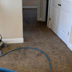 Odor Removal