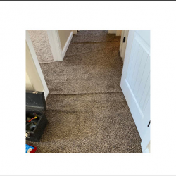 Carpet Restretching