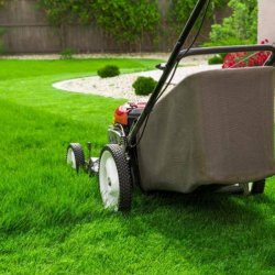 Lawn Care Services