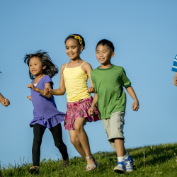 Child & Adult Care Food Program
