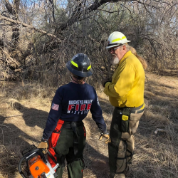 Fire Investigations