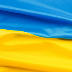 Homes for Ukraine conflict resolution