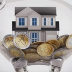 FREE Market Evaluation Report