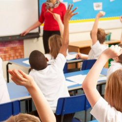 Schools and Admissions