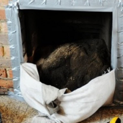 Chimney Cleaning