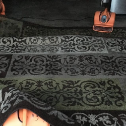 Rug Cleaning