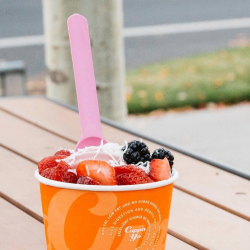 Pom Raspberry Sorbet (Non-dairy)