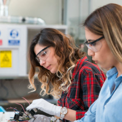 Summer Youth Program 