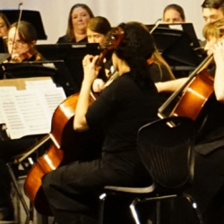 Eagle Mountain Symphony Orchestra