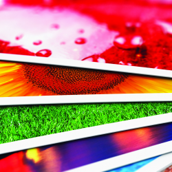 Full Color Printing