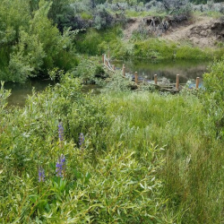 Red Clover Valley Project
