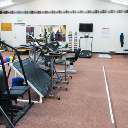  Post Surgery Rehabilitation