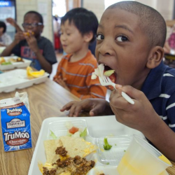 Meal Services