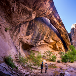 Recreation and Visitor Services