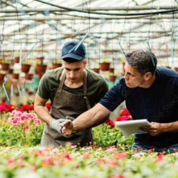 Tax Planning Services