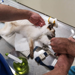 Emergency and Urgent Care