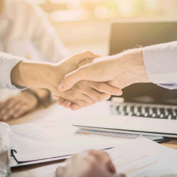 Comprehensive Business Assistance