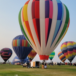 Organize Ruby Mtn Balloon Festival