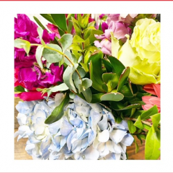 Flower Subscriptions