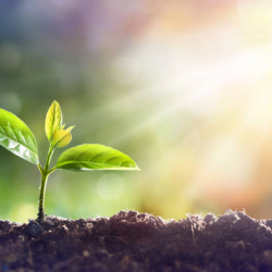 A New Awakening-Albuquerque