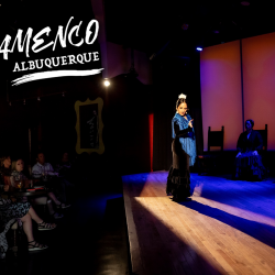 Flamenco Performance