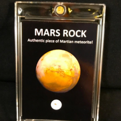 Martian Meteorites