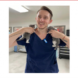 Vet Specialists