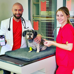 Pet Laboratory Services