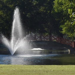 Issues Gaming & Amusement Licenses