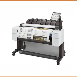 Print Audit Services